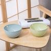 Maceta colgante para plantas colgantes, maceta de plástico de autorriego para interiores específicamente para cultivar potos