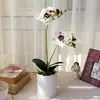 Orquídea Phalaenopsis artificial de dois ramos com folhas, pequena planta em vaso para decoração de mesa, adequada para decoração de casa, escritório, restaurante, hotel e shopping center, oferta especial