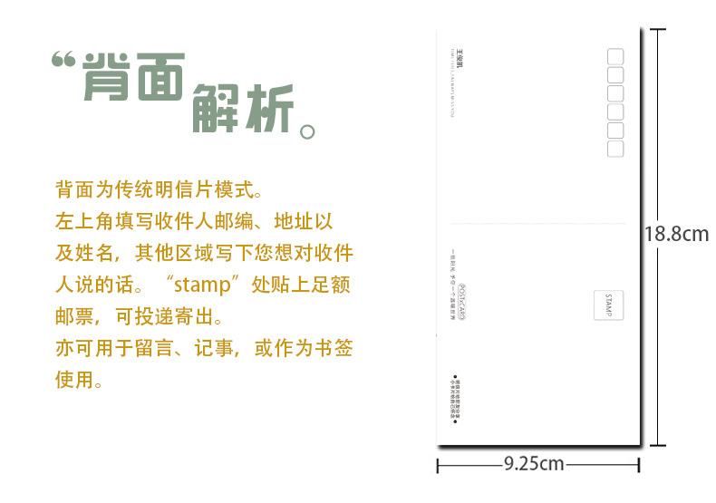 背面解析.jpg
