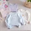 Camiseta de Manga Longa para Meninas com Gola de Renda e Desenho de Desenho Animado Bordado, Novo Estilo Primavera e Outono 2026 Roupas Infantis Blusas da Moda