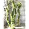 Enredaderas ramas ramitas higuera raíces aéreas trepadoras colocación musgo enredaderas muertas musgo artificial paisajismo estilo bosque colgante de pared decoración de arte floral