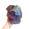Pinza para el pelo con lazo de estampado de leopardo azul atmosférico estilo coreano con cintas, para coleta semi-atada