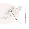 Paraguas transparente de 8 varillas para mujer, creativo, estilo japonés, fresco, varilla de fibra, resistente, a prueba de viento, repelente al agua, manual, mango largo, paraguas POE