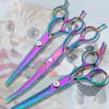 Conjunto de Tesouras para Pet para Tosquia e Aparo, Tesoura Reta, Tesoura Curva, Tesoura de Desbaste, Tesoura para Pelo de Cachorro, Tesoura Profissional para Aparo
