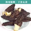 Hongos Morel Secos Orgánicos, Ingredientes Deliciosos para Sopa, con un Sabor a Hongo Suave y Tierno, Directo de la Fábrica Fuente, Hongos Morel al Por Mayor, Dropshipping Disponible