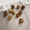Paquete de materiales DIY hecho a mano flores mixtas plantas flores secas estilo bosque de jardín de infantes creación de anillos decoración piñas de Navidad
