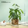 Flores de Hortensia Artificiales, Plantas Falsas, Macetas de Cerámica, Plantas en Maceta para Decoración de Sala de Estar y Aparador, Plantas de Flores Secas