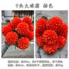 Fabricante de Flores Artificiais Laranja Pôr do Sol, Laranja Vermelho Pôr do Sol Arco para Corredor de Casamento com Tema de Outono Decoração Suave Flores Artificiais Atacado