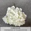 Flor Artificial de Hortensia de 5 Cabezas Adornos para el Hogar Sala de Estar Material de Flor Decoración de Pared de Flores para Boda Flor para Sostener por la Novia Arte Floral