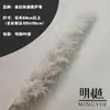 Caña Larga Vietnamita Flor Seca de Yunnan Ramo Decoración Esponjoso Fotografía de Boda Del Suelo al Techo Paisajismo Flor Inmortal Natural