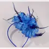 Amazon AliExpress Europeu e Americano Faixa de Cabeça de Pena Festa Performance de Palco Carnaval Acessórios de Cabelo para Noiva Adorno de Cabeça Feminino
