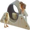 Habitat de Frango Acessórios e Brinquedos para Galinheiro para Criação de Pássaros Pássaro Papagaio Hamster Pato Habitat de Treinamento Brinquedos