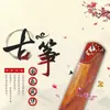 Guzheng Música Ligera Memoria USB Flash Cafetería Centro de Salud Música de Fondo Interfaz de Coche Calidad de Sonido Sin Pérdidas Clásico Favorito