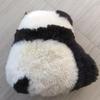 Fornecimento direto da fábrica capa de almofada de lã sofá travesseiro cabeceira janela saliente almofada pele um desenho animado panda PP travesseiro