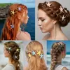 Grampo de Cabelo Estrela do Mar de Venda Quente de Verão da Amazon Acessórios de Cabelo Sereia para Mulheres e Meninas Festa na Praia Tema Oceano