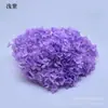 Flores de Hortensia Secas con Degradado Grande Hortensias Conservadas Cabezas de Flores Grandes Color Mixto Multicolor Hortensias Secas Decoración del Hogar Materiales Florales