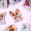 Imanes de Refrigerador de Acrílico Hechos a Medida con Resina Epoxi, Imanes de Refrigerador Completamente Magnéticos, Imanes 3D Personalizados, Imanes de Refrigerador DIY de Anime