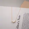 Colar fino de pérolas de água doce design francês corrente para clavícula corrente fina de aço titânio primavera e verão empilhado básico