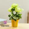 Rosa de tres cabezas bonsái pequeño flores artificiales de alta calidad decoración interior creativa flores artificiales plantación verde Amazon simulación en maceta