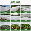 Tecido de proteção de inverno para plantas mais vendido na Amazon, manta à prova de geada, tecido de isolamento de inverno para plantas, cobertura de manta espessa para vegetais