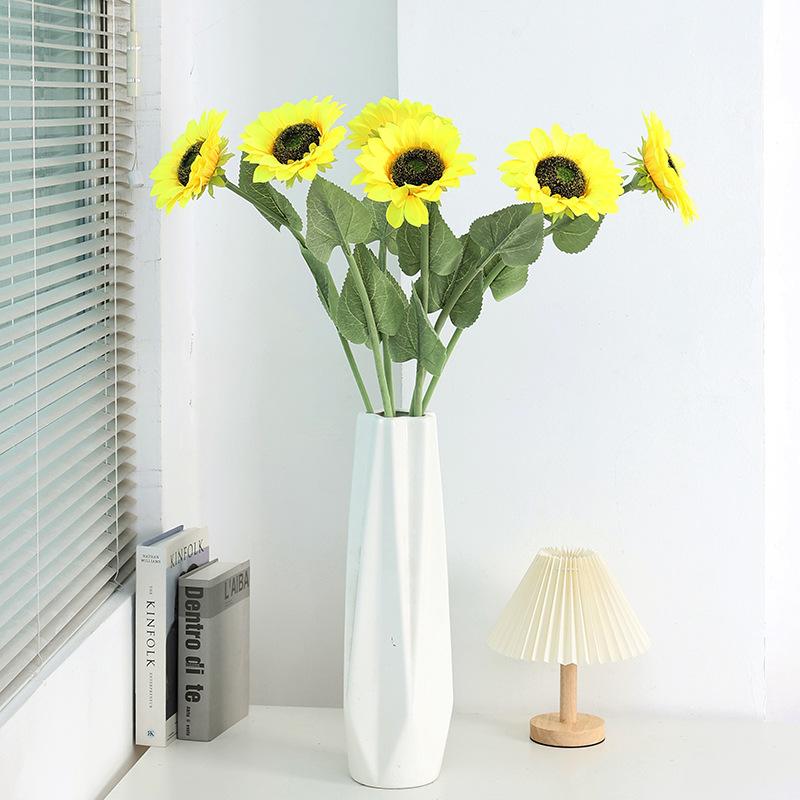 单头皮管 (6).JPG