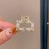 Pinza Sujetapelos Metálica para Cola de Caballo para Mujer, Pinza Pequeña de Pelo de Moda, Pinza para Cola de Caballo, Pasador Pequeño, Accesorio para el Cabello Pinza de Tiburón