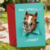 Compra directa transfronteriza de tarjetas de felicitación temáticas de caballos, peculiares y lindas, con agujeros, perfectas para deseos de cumpleaños, regalos creativos, mensajes escritos a mano y tarjetas navideñas