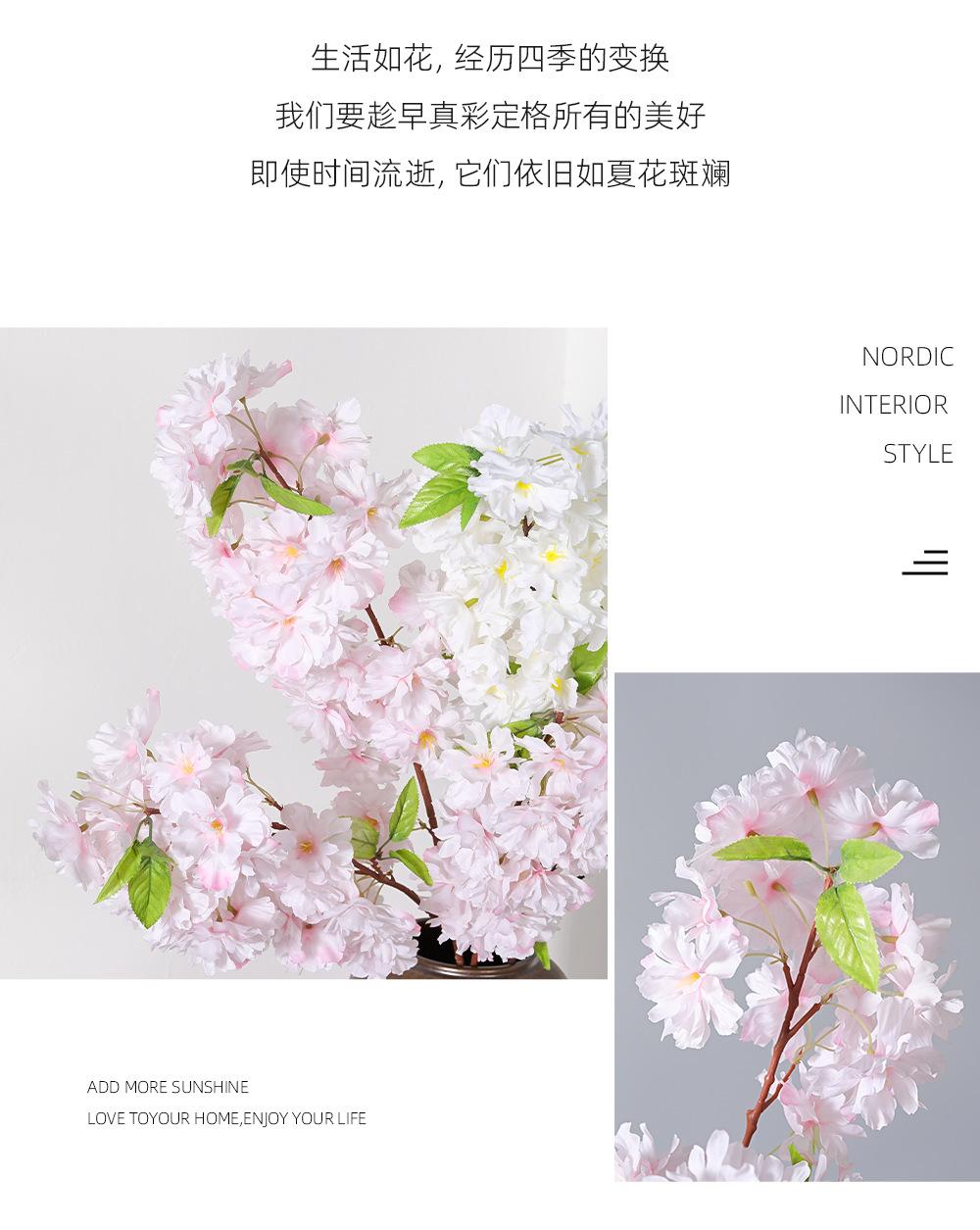 详情_05.png