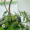 Plantas Realistas de Madera de Caballo de Gama Alta para Escaparates, Árboles Decorativos de Vegetación Artificial para Interiores, Árboles Falsos Grandes para Diseño de Paisaje Sencillo
