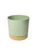 Maceta Perezosa Hidropónica Anthony Maceta de Escritorio de Resina Absorbente Interior Balcón Escritorio Simple Plantación Verde Maceta Flor Tigre Piraña