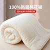 Colcha 100% Algodão Four Seasons Colcha Grossa de Algodão Puro para Dormitório Colchão para Desastres Colchão de Enchimento de Algodão Colcha de Inverno 100% Algodão Roupa de Cama