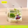 Bainabangshou Tanque de Peixes com Planta Verde para Desktop Caixa Plástica Transparente Mini Tanque de Peixes para Escritório