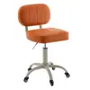 Taburete de Belleza Asiento Especial para Salón de Belleza Elevador Giratorio Polea Taburete Redondo Peluquería Uñas Maquillaje Hogar Silla con Respaldo