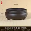 Queimador de Incenso Premium de Três Pernas, Vaso para Bonsai, Vaso para Suculentas e Calamus, Bonsai de Tronco Velho Dourado em Forma de Bala, Vaso de Flor de Areia Roxa Imitação de Resina de Bambu Nuvem
