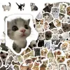 100 piezas de pegatinas realistas y lindas de gatitos para decoración transfronteriza, adecuadas para álbumes de recortes, cuadernos y fundas de teléfono; disponible al por mayor