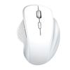 Mouse Bluetooth Inalámbrico Transfronterizo 2.4g Modo Dual Ergonómico Tres Canales Gaming Oficina Ratón de Computadora Personalización