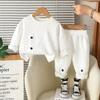Conjunto de Ropa para Niños Otoño 2025 Nuevo Estilo Moda Bebé Primavera y Otoño Conjunto de Dos Piezas Manga Larga Ropa de Sudadera para Niños