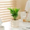 Plantas Tolerate à Sombra: Filodendro e Palmeira Areca, Plantas Verdes para Escritório e Sala de Estar Estilo Nórdico, Vasos que Purificam o Ar