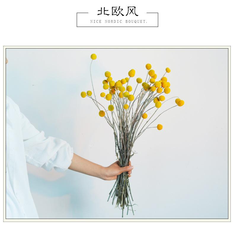 详情页8.jpg