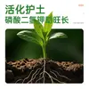 Fertilizante para Flores de Fosfato Monopotásico, Fertilizante General para Plantas Soluble en Agua, Fertilizante para Flores de Árbol de Osmanto para Plantas en Maceta Caseras, Fertilizante Especial de Fósforo y Potasio