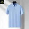 Polo Penson Dragon Logo Británico Lar Manga Corta Ropa de Trabajo Transfronteriza Camisa Cultural Ropa de Trabajadores Ropa de Grupo Personalizado