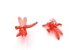 Clip de Planta Phalaenopsis de Colores Forma de Flor Clip Fijador de Enredaderas Accesorios de Clip a Juego para Varilla de Soporte de Injerto de Jardinería