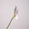 Simulação de alta qualidade lírio calla duplo taro duplo modelo sala de vendas departamento de design floral adereços de fotografia