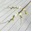 Feiyang No.2 chino pequeño rama de flor de ciruelo de simulación de azahar de invierno decoración de sala de estar Zen flor de ciruelo de simulación al por mayor