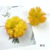 Flor Artificial Flor de Dente-de-Leão Pom-Pom Cabeça de Flor Kit de Material para Guirlanda DIY Adorno de Cabeça para Fazer Parede de Flores de Salão de Casamento Adereços de Arranjo Floral