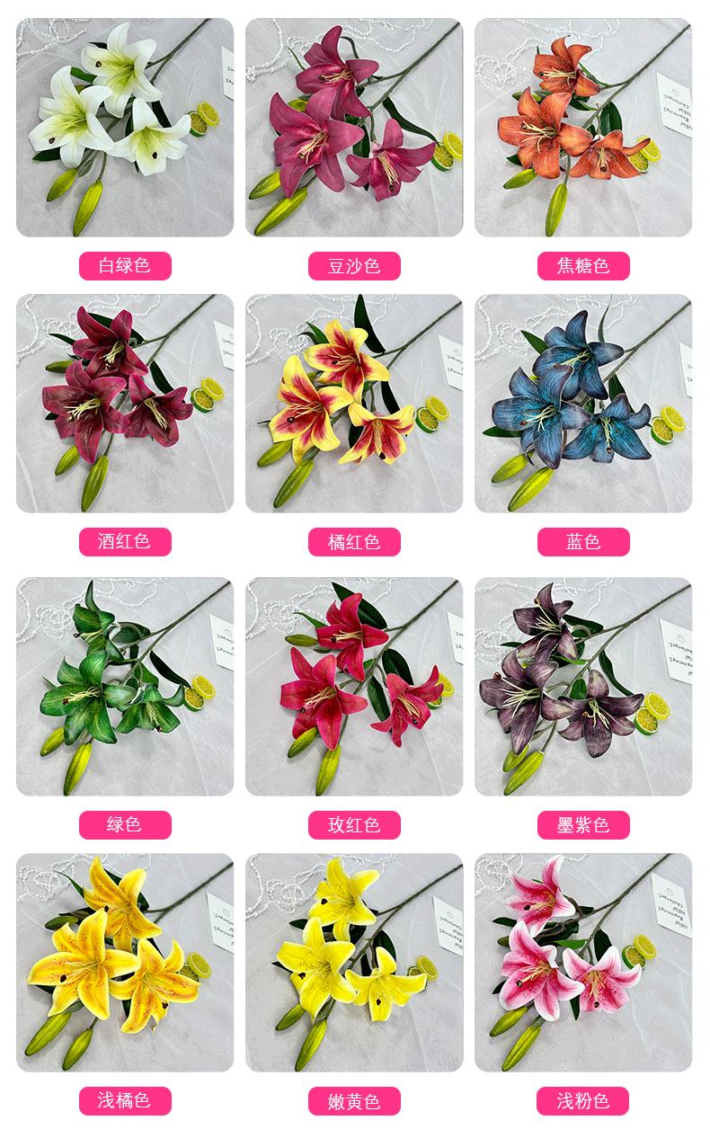 龙宇宇龙详情_04