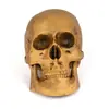 Academia de Arte Libro de Texto 1:1 Calavera Humana de Resina Calavera Amarilla Calavera Regalo de Halloween