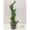 Cactus Pilares de Dragón Simulados Cactus Parásito Planta del Desierto Marroquí Decoración Suave para Paisajismo Modelo Decoración de Proyectos