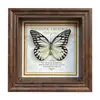Marco de Fotos con Foto de Mariposa Real Pintura Decorativa Estilo Europeo Marco de Fotos Vintage Decoración de Mesa Adorno para Muebles Regalo de Cumpleaños Presente