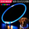 Coleira Luminosa de LED para Animais de Estimação Recarregável Tipo C Impermeável Encapsulável